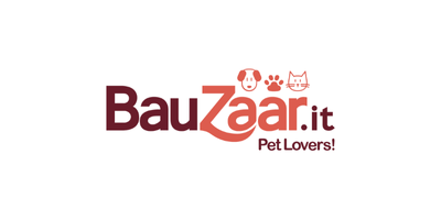 Bauzaar